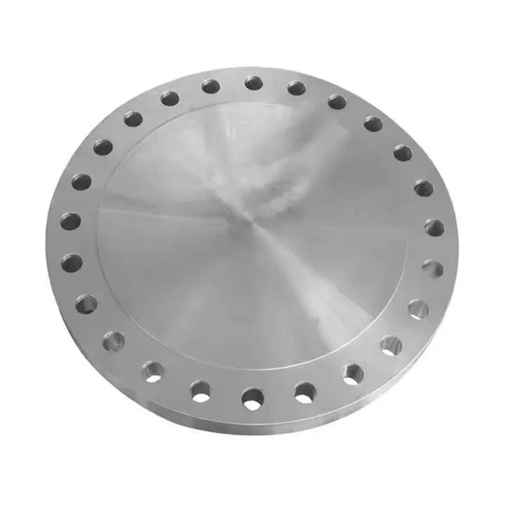Stainless Pipe Flanges price